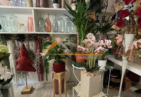 LN045 – Negozio di fiori in locazione